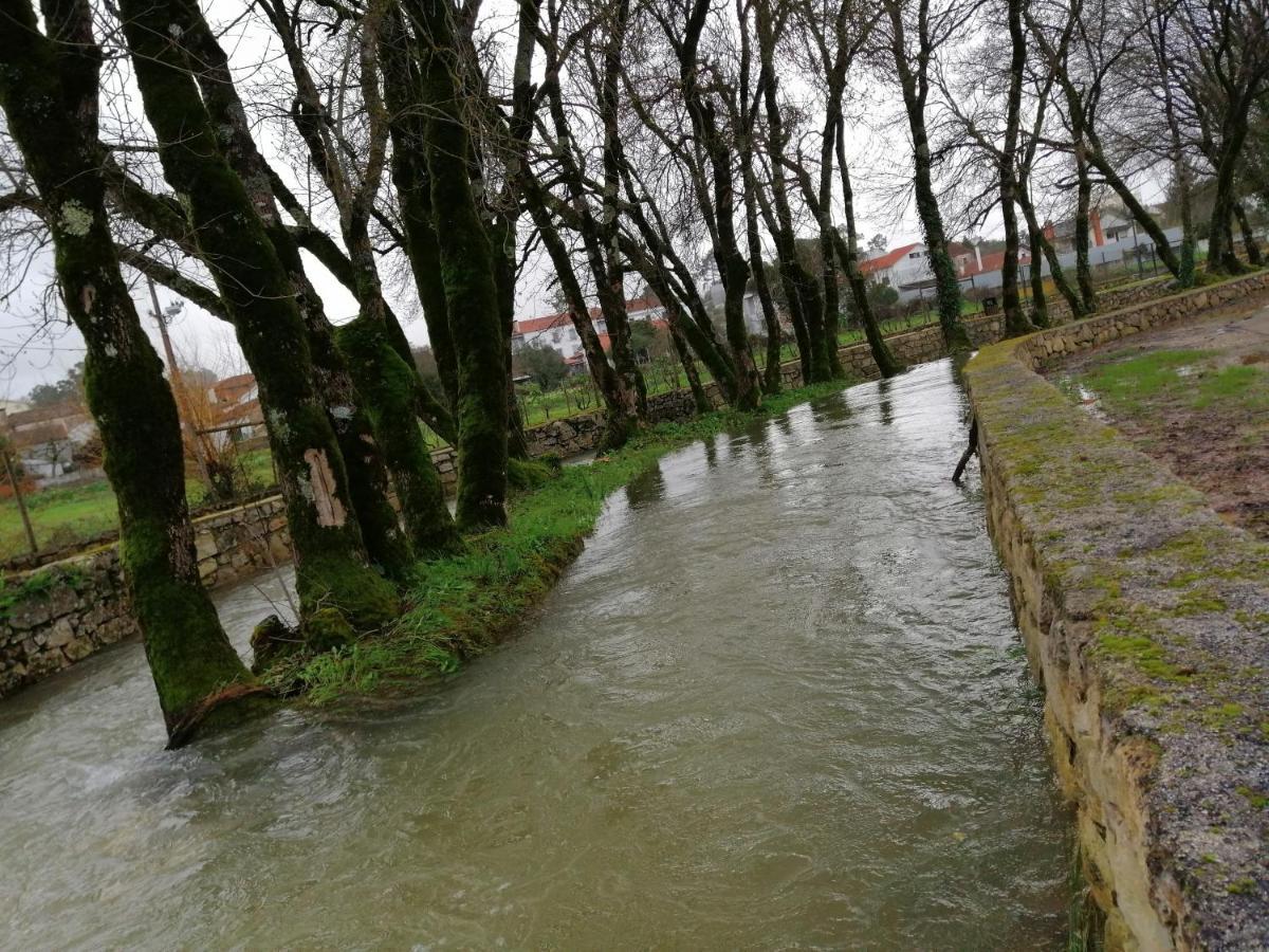 안시앙 Casa Da Ponte Branca 빌라 외부 사진